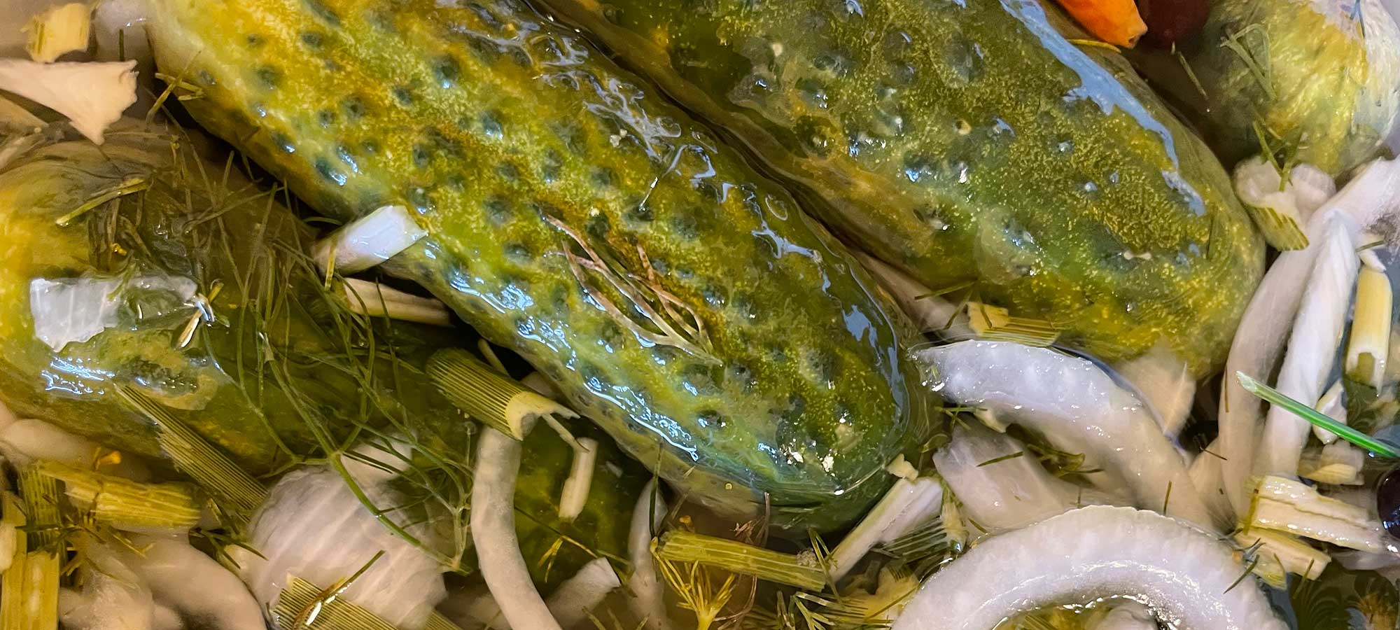 Spreewald Gurken frisch