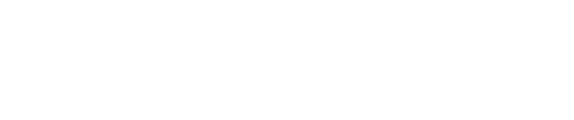 Logo Spreewaldkiste invertiert