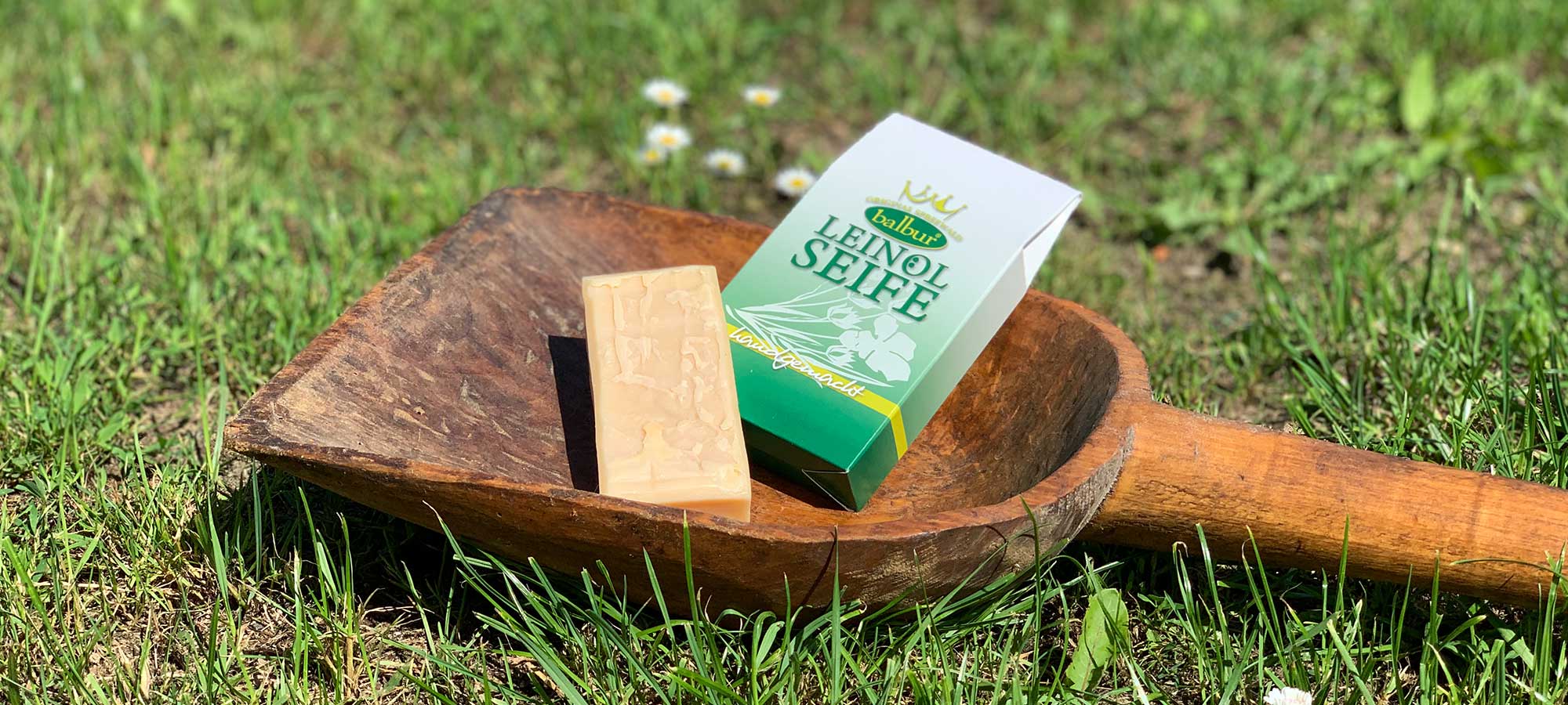 Seife Naturseife Leinölseife Olivenölseife aus dem Spreewald - handgemacht