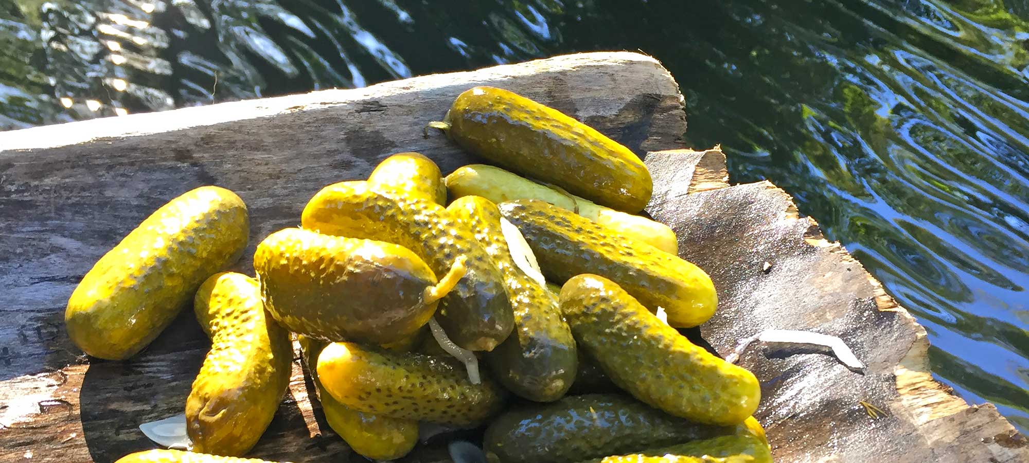 RABE Spreewälder Vertriebs GmbH