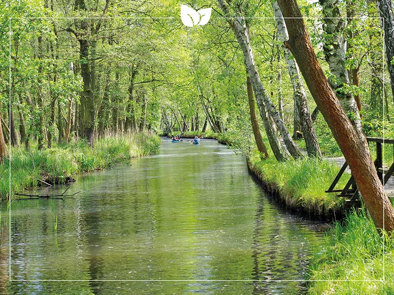 Grußkarte Spreewald, Motiv Vorderseite